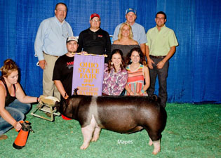 RESERVE GRAND BARROW – 2017 Ohio State Fair Open Show