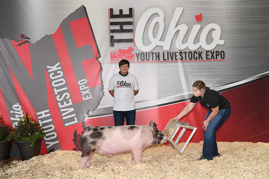 4TH OVERALL DARK CROSS DIVISION 4 – 2020 Ohio Youth Livestock Expo