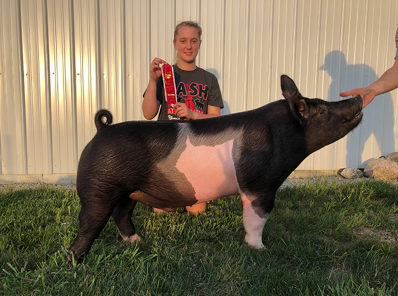 5TH OVERALL DARK CROSS DIV 4 – 2020 Ohio Youth Livestock Expo