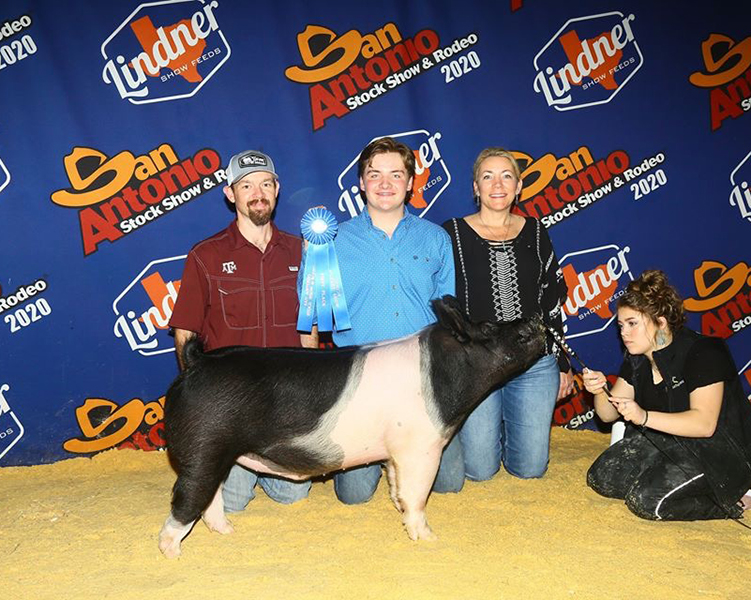 CLASS WINNING DARK CROSS – 2020 San Antonio Stock Show