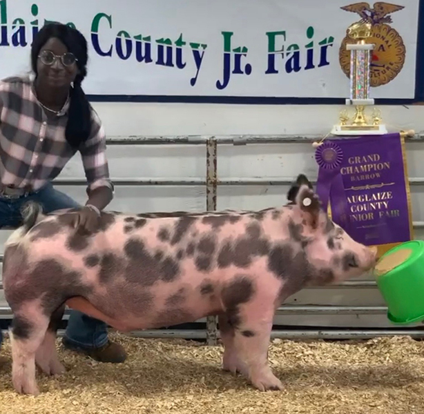 GRAND BARROW – 2020 Auglaize County, OH