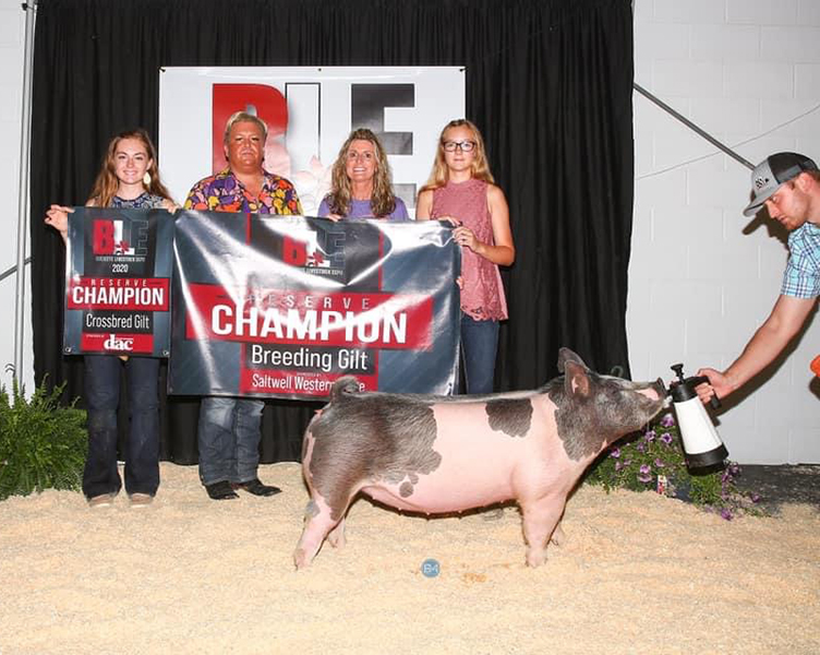 RESERVE OVERALL 1X, RESERVE CROSS 2X – 2020 Buckeye Livestock Expo