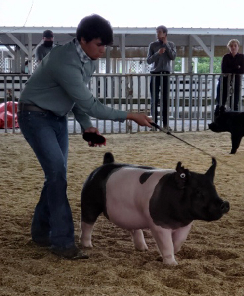 GRAND OVERALL – 2020 Montgomery Co, MD