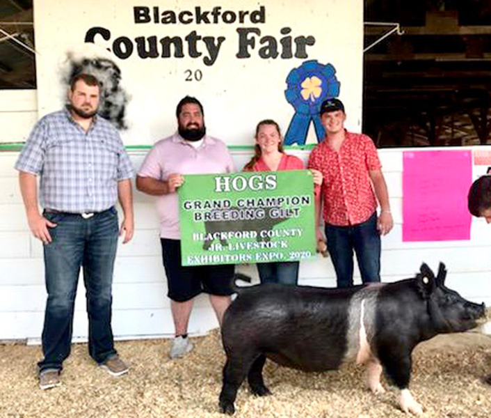 GRAND CHAMPION GILT – 2020 Blackford County, IN