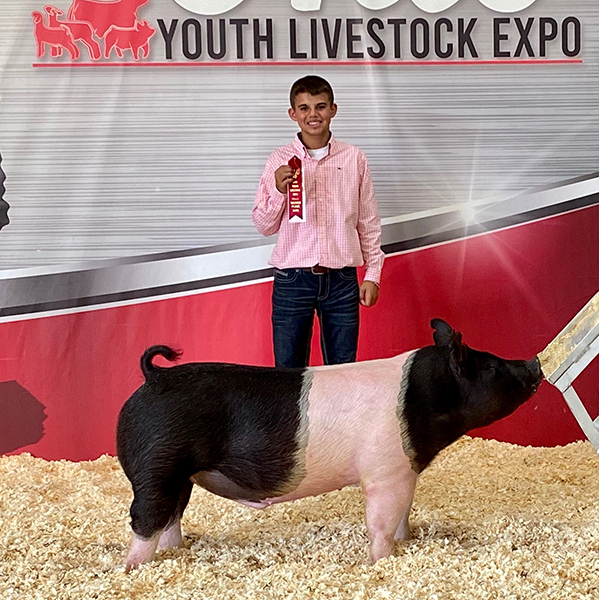 4TH OVERALL DARK CROSS DIVISION 6 – 2020 Ohio Youth Livestock Expo