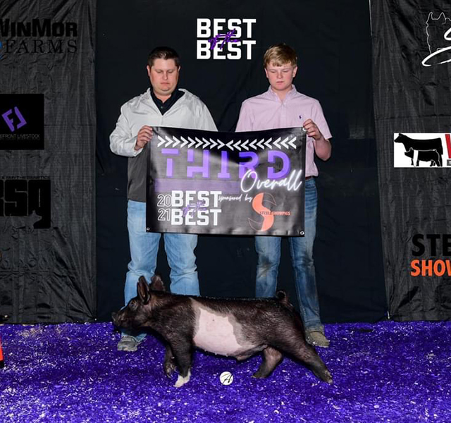 3RD OVERALL, RESERVE HAMPSHIRE – 2021 Best of the Best