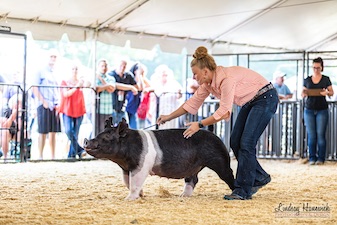RESERVE LIGHT WEIGHT GILT – 2021 Michigan Livestock Expo