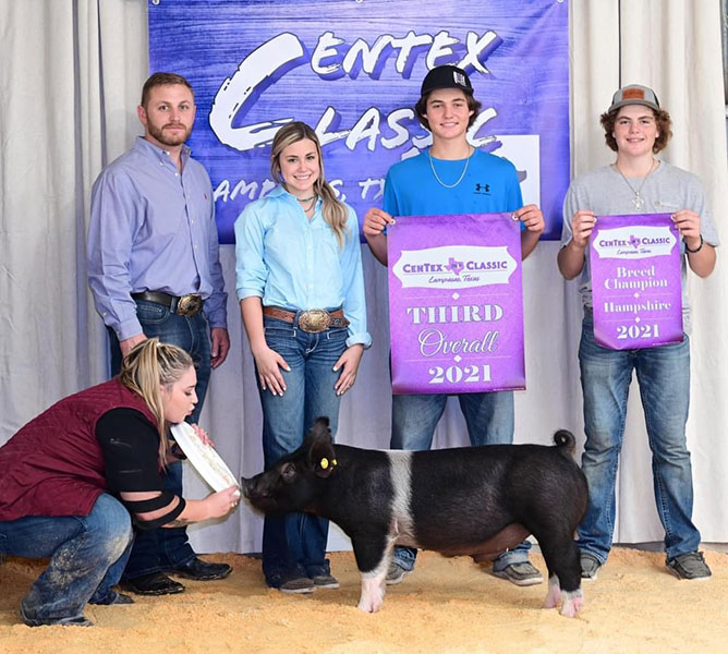 3RD OVERALL, CHAMPION HAMP – 2021 Centex Classic, TX