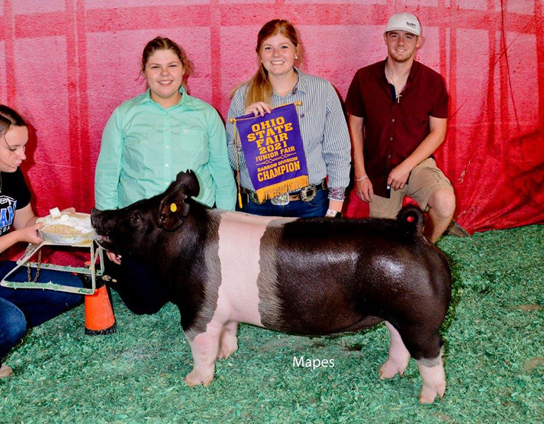 CHAMPION DIVISION II – 2021 Ohio State Fair Jr Barrow Show
