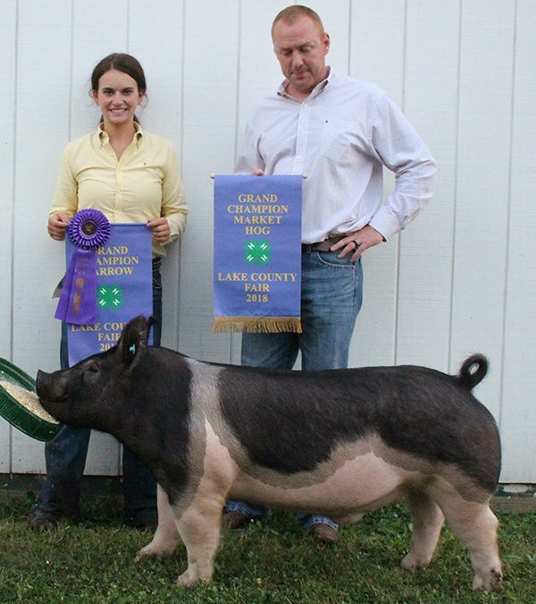 GRAND CHAMPION – 2018 Lake County, OH