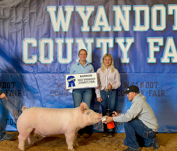 4TH OVERALL BARROW – 2022 Wyandot County, OH