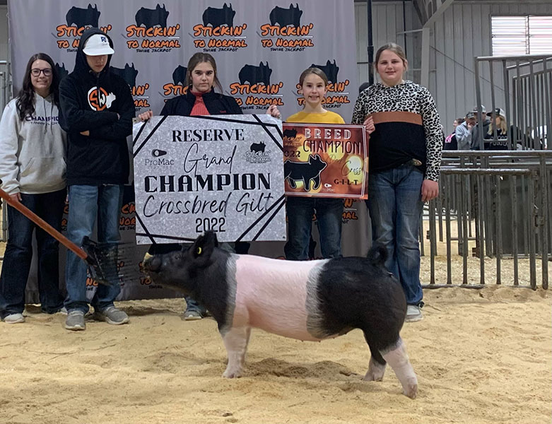 RESERVE GRAND GILT- 2022 Stickin to Normal, OK