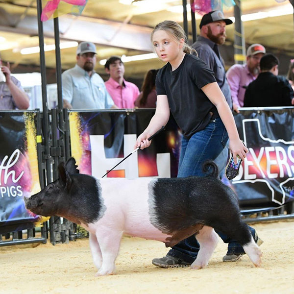 RESERVE GRAND CHAMPION DARK CROSS RING A – 2022 White Buffalo Blowout, TX