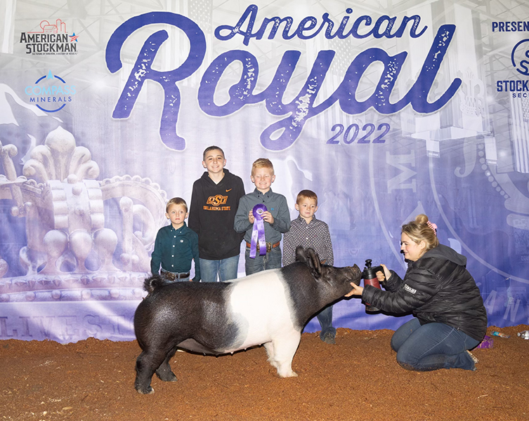 CHAMPION DIVISION III CROSS GILT – 2022 American Royal