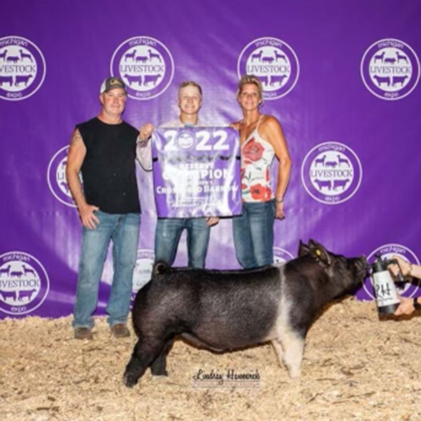 RESERVE CHAMPION DIVISION 1 CROSS BARROW – 2022 Michigan Livestock Expo