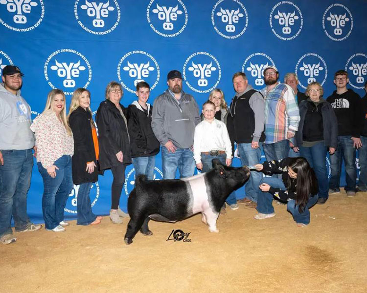 BRONZE HAMP BARROW – 2023 OYE