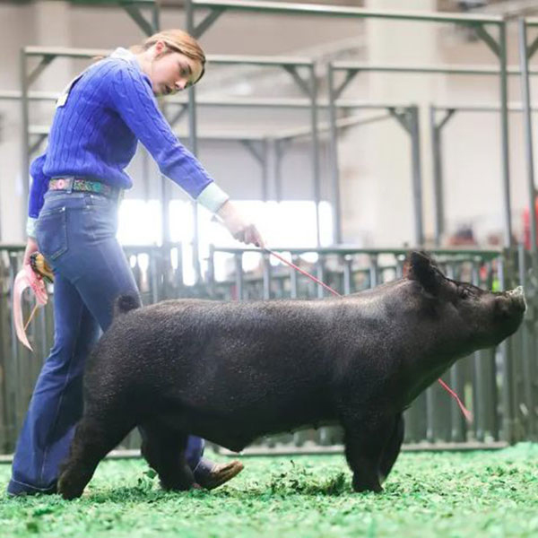 4TH IN CLASS-  2023 Houston Livestock Show, TX