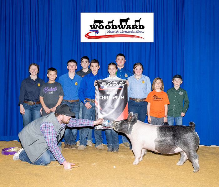 GRAND CHAMPION LIGHT CROSS  –  2023 Woodward District Livestock Show, OK