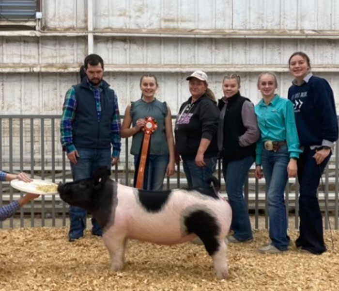 GRAND BREEDING GILT OVERALL – 2023 Pipeline Swine Jackpot, OK