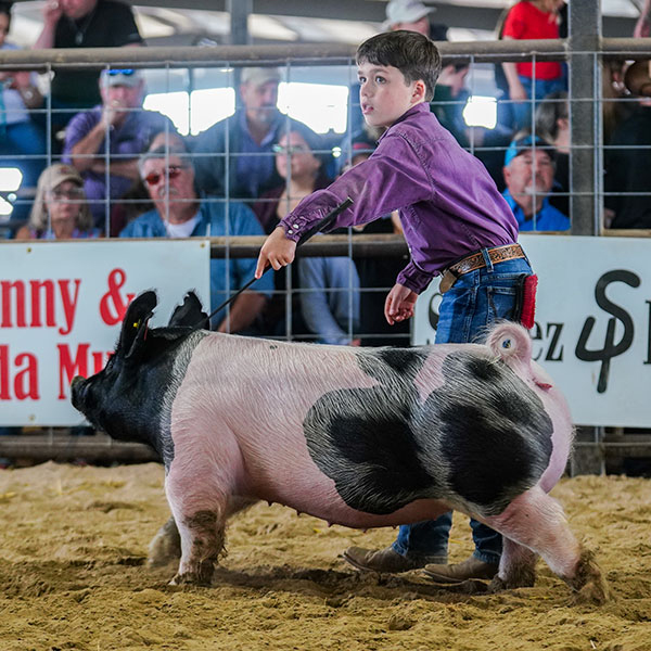 GRAND CHAMPION -2023 Sonny Brazil Classic