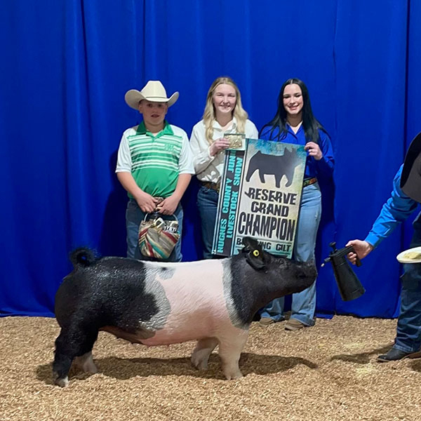 RESERVE CHAMPION BREEDING GILT OVERALL – 2023 Hughes County, OK