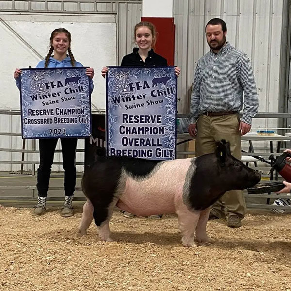 RESERVE CHAMPION OVERALL BREEDING GILT, RESERVE CHAMPION CROSS GILT – 2023 FFA Winter Chill Show, MI
