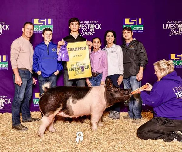 CHAMPION COMMERCIAL GILT – 2023 LSU Commercial Gilt Show, LA