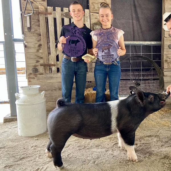 GRAND CHAMPION BREEDING GILT – 2022 Paola FFA Swine Show, KS