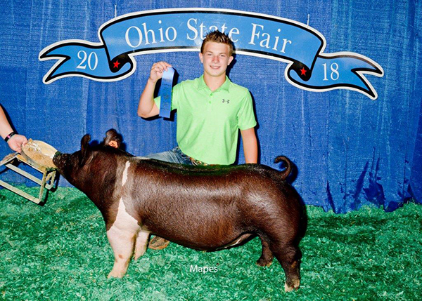 CLASS WINNER – 2018 Ohio State Fair Jr Show