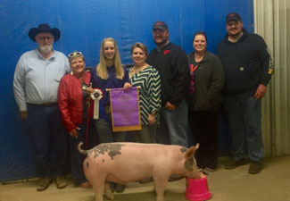 GRAND CHAMPION – 2015 Lynn County, TX