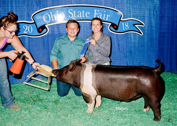 CLASS WINNER – 2018 Ohio State Fair