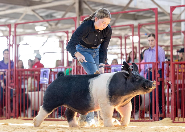 2ND IN CLASS – 2023 The Exposition, IA