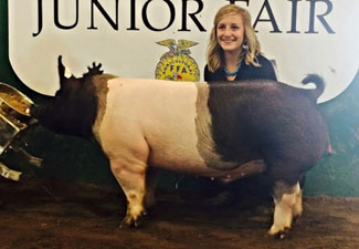 GRAND OVERALL, CHAMPION BARROW, CHAMPION HEAVYWEIGHT BARROW – 2015 Fairfield County Junior Fair