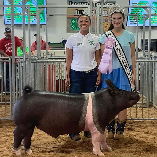 RESERVE CHAMPION MARKET HOG – 2022 Jackson County JR Fair, WV