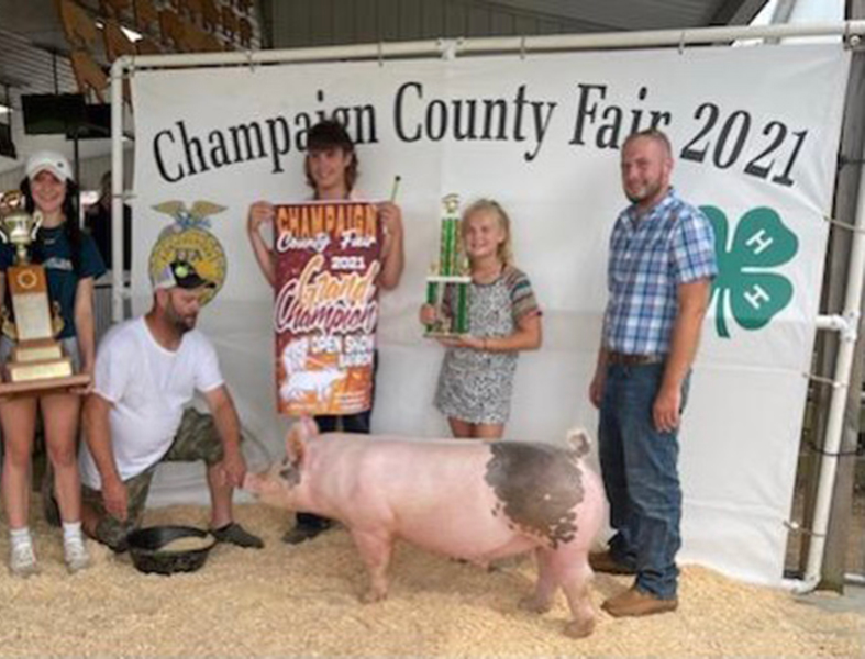 GRAND BARROW – 2021 Champaign Co Open Show, OH