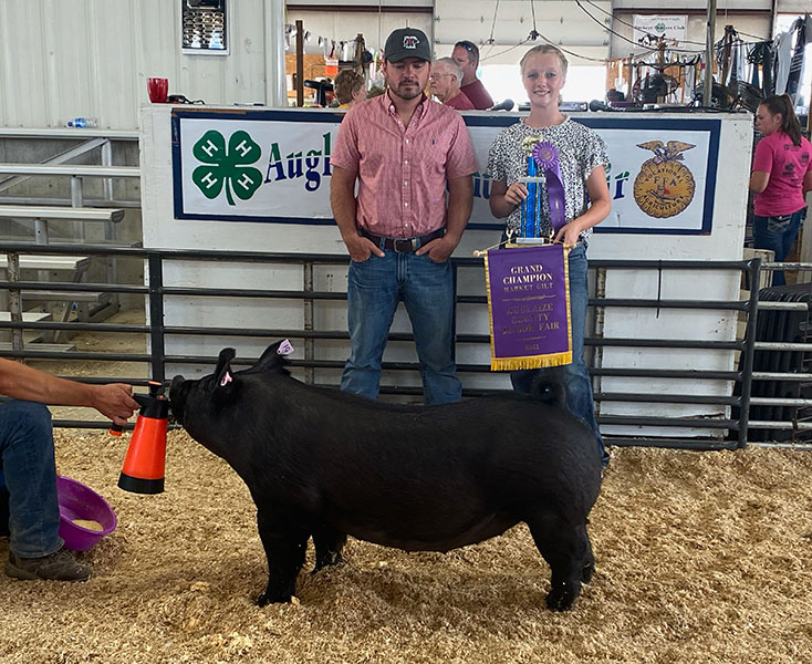 GRAND GILT – 2021 Auglaize County, OH