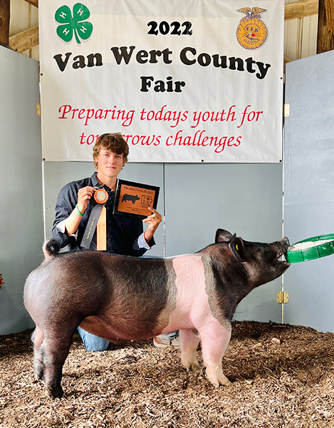 3RD OVERALL & GRAND BARROW – 2022 Van Wert County Fair, OH