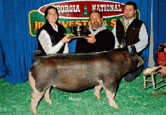 RESERVE GRAND BARROW – 2015 Georgia National Fair