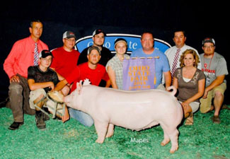 RESERVE CHAMPION OVERALL & CHAMPION YORK – 2015 Ohio State Fair