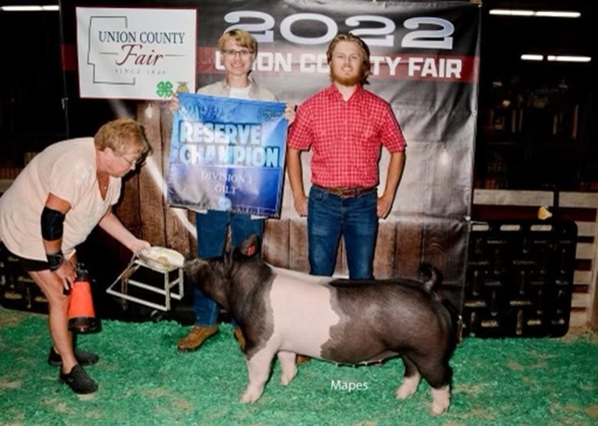 RESERVE DIVISION I GILT – 2022 Union County Fair, OH