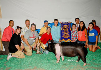 GRAND CHAMPION OVERALL & CHAMPION DARK CROSS – 2015 Ohio State Fair