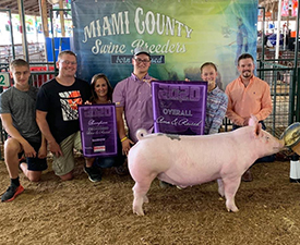 3RD OVERALL BORN & RAISED BARROW  – 2020 Miami Co, OH