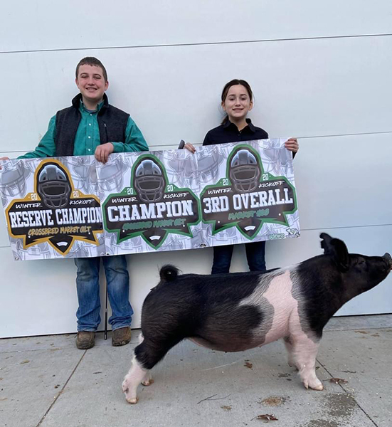 3RD OVERALL, GRAND MARKET GILT – 2020 Winter Kickoff Jackpot, OH – Ring B, RESERVE MARKET GILT – 2020 Winter Kickoff Jackpot, OH – Ring A
