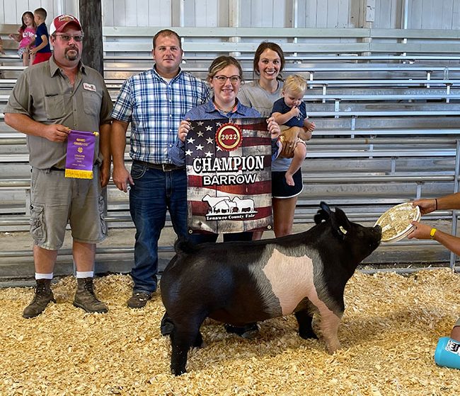 GRAND CHAMPION BARROW – 2022 Lenawee County Fair, MI