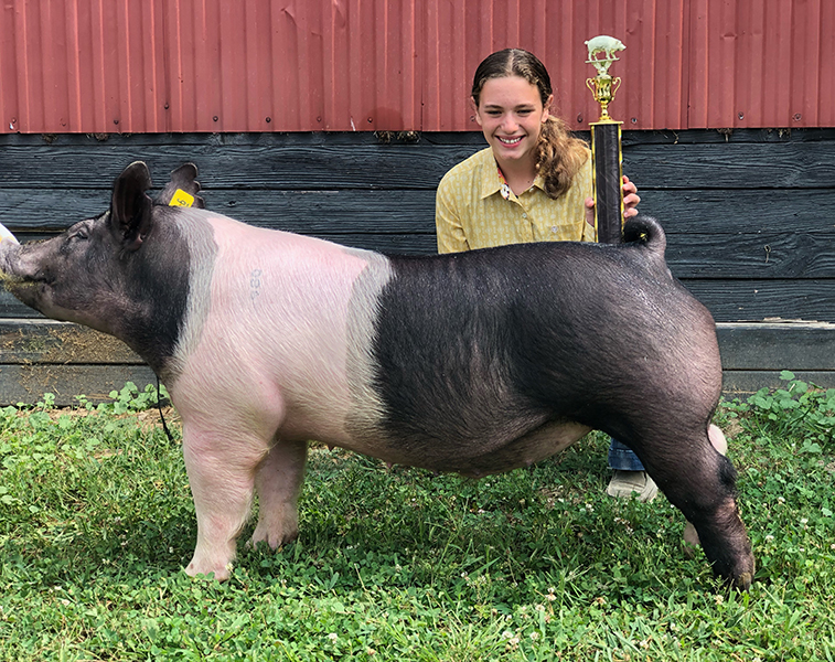 CHAMPION DIVISION 3 MARKET HOG – 2021 Butler County, OH