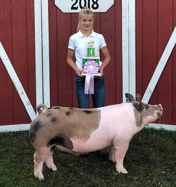 RESERVE HEAVYWEIGHT BARROW – 2018 Fulton County, OH