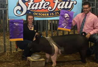 GRAND CHAMPION OVERALL OPEN GILT – 2015 North Carolina State Fair
