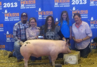 CLASS WINNING CROSS – 2013 Houston Livestock Show