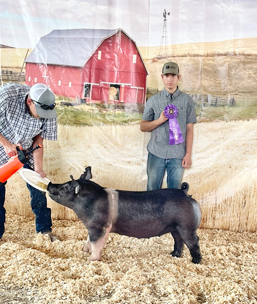 RESERVE GRAND OVERALL – 2021 Lane County, KS