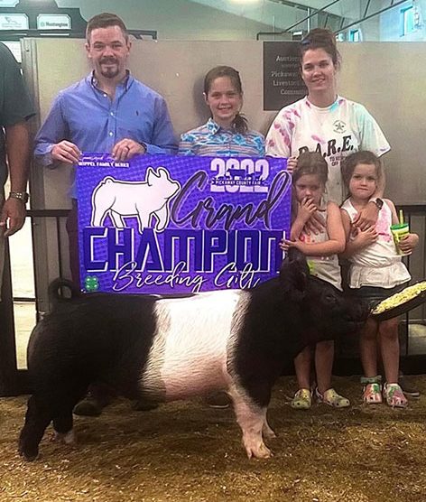 GRAND BREEDING GILT & CHAMPION CROSS GILT – 2022 Pickaway County Fair, OH